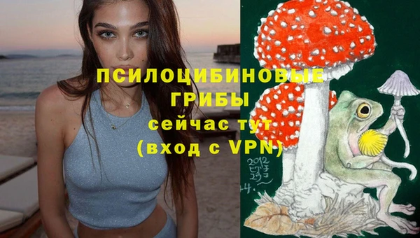 дурь Зеленокумск