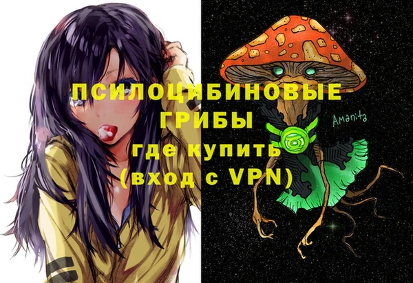 стаф Зеленодольск
