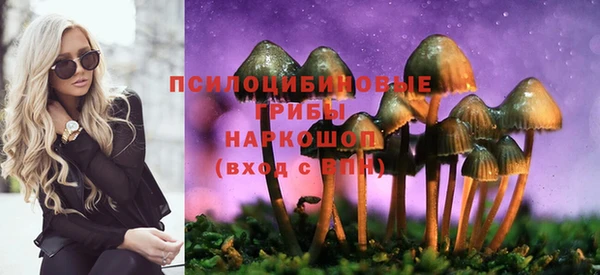 стаф Зеленодольск