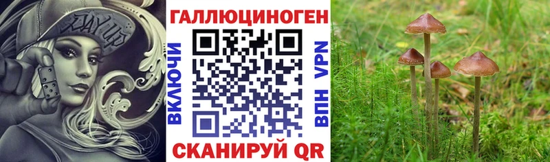 Псилоцибиновые грибы MAGIC MUSHROOMS  MEGA зеркало  Карачаевск  наркошоп 
