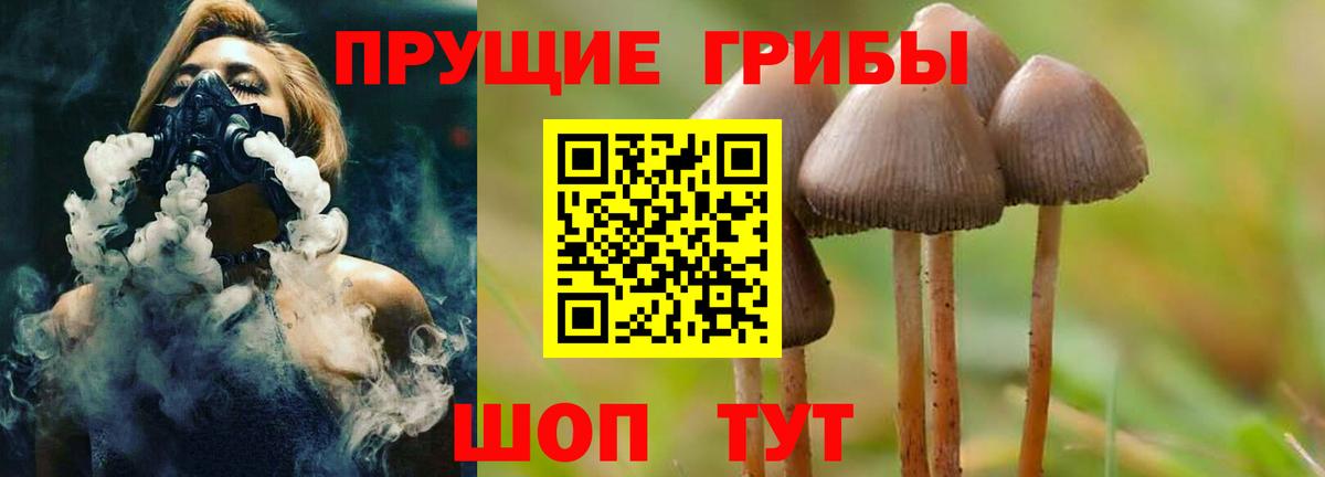 Карачаевск  Псилоцибиновые грибы Cubensis  Псилоцибиновые грибы прущие грибы  Вход с VPN 