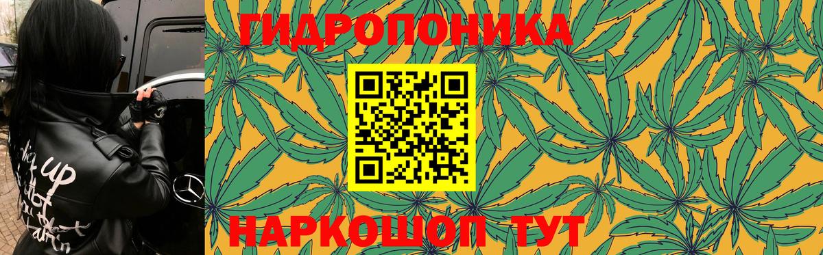 Марихуана гибрид Карачаевск